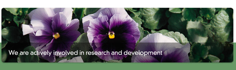 we are actively involved in research and development