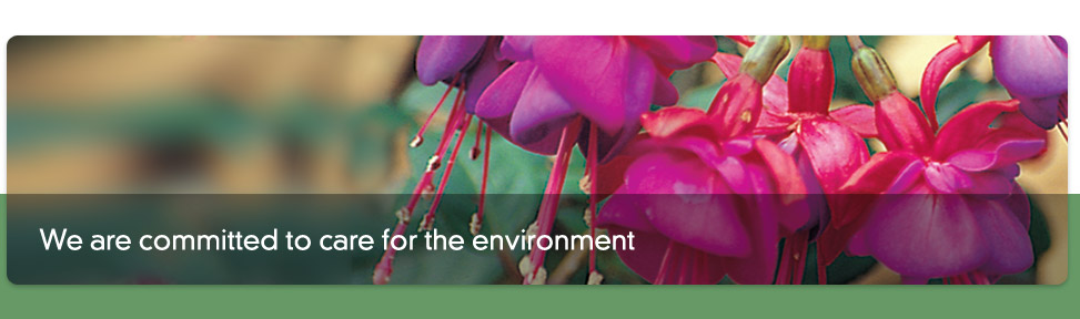 We are committed to care for the environment